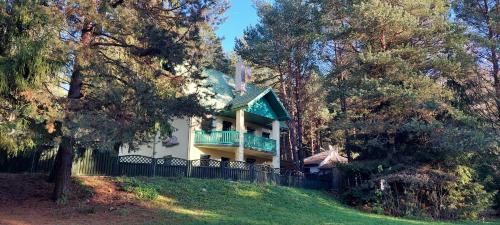 Žalioji vila (Zalioji vila) in Patunkiškiai