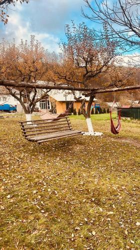 Casa Adela LaculRosu Bicaz in Telec