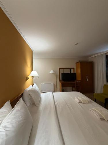 Arber Hotel, Tirana (photo 9)