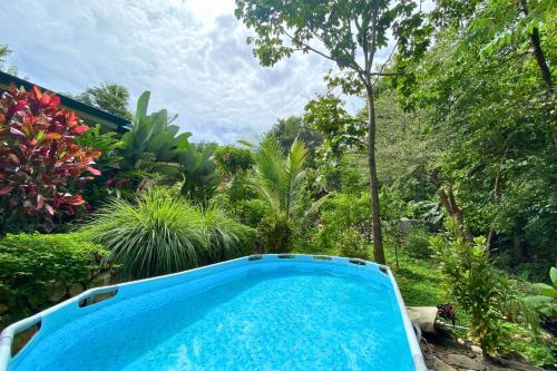 Peldbaseins, Pelada Jungle Nest 5-Min Walk to Beach & River in San Juanillo