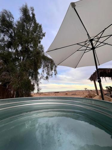 View, Tobiana Desert Lodging Negev in Sde Boker