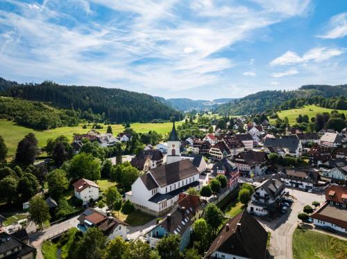 WälderNestchen - zentral - Natur pur - Tiefgarage - Balkon - modernes 2 Zimmer Appartement (WalderNestchen - zentral - Natur pur - Tiefgarage - Balkon - modernes 2 Zimmer Appartement) in 楞茲基赫