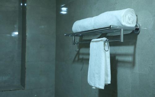 VijayLord's palace Badrinath in Badrinath