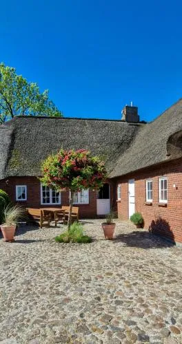 Thatched House On A Warft Near Schlüttsiel in Dagebüll, Deutschland