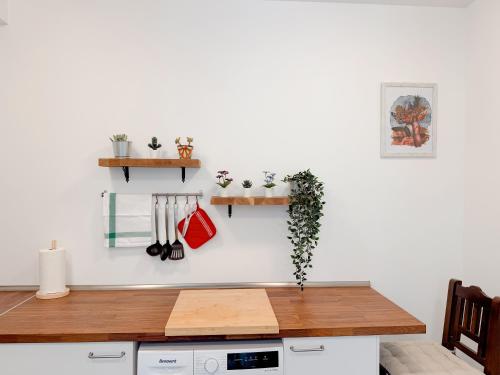 apartment in La Santa, Lanzarote, village by the Sea in La Santa