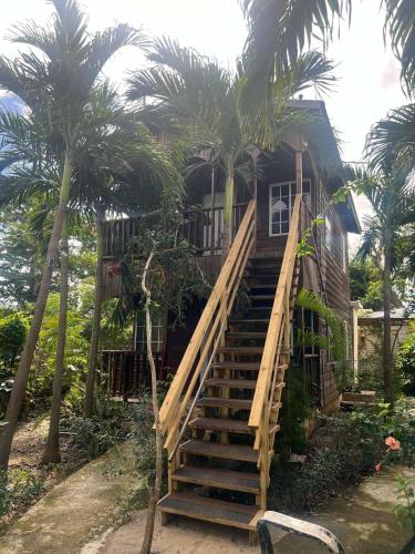T&T - Tatty and Tony Guesthouse in Negril