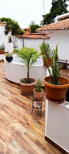 BERLIN hostel suites in Sucre