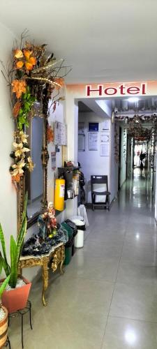Hotel plaza centro