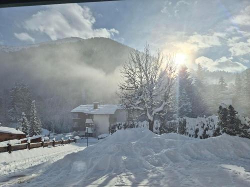 Sonnenalp in Stadle, Österreich