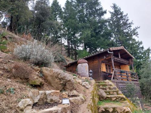 Viesnīcas āriene, Adorable chalet au coeur de l'Ardèche (Adorable chalet au coeur de l'Ardeche) in Saint-Sauveur-de-Montagut
