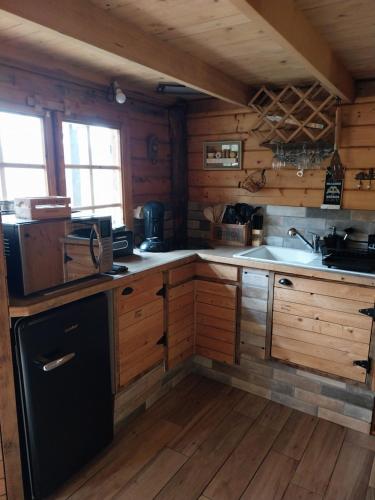 virtuve, Adorable chalet au coeur de l'Ardèche (Adorable chalet au coeur de l'Ardeche) in Saint-Sauveur-de-Montagut