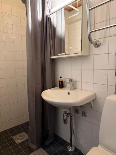 Hakaniemi Gem - Bright Loft Studio in Hakaniemi