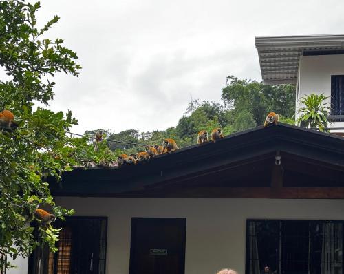 Exterior view, Casa Marisol in Quepos
