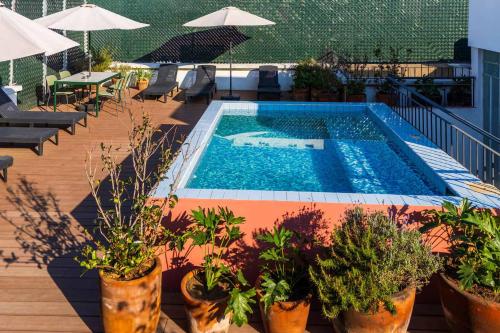 HOM Tonala - Bright 1 BR Apartment with Pool in Mexico City - image 5