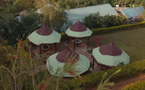 Iekārtas, Avocado Lodge in Lushoto