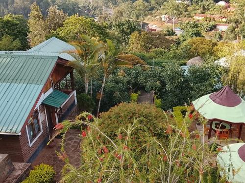 Krogs/atpūtas telpa, Avocado Lodge in Lushoto