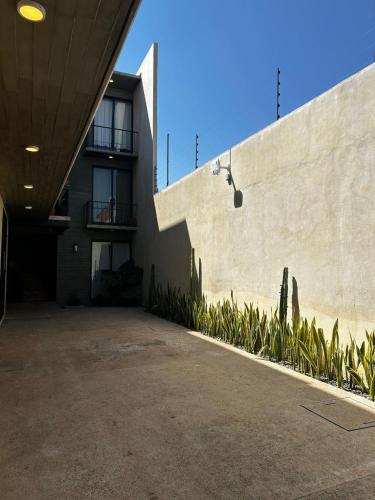 Suites Oros - image 3