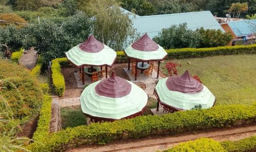 Dārzs, Avocado Lodge in Lushoto