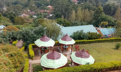 Viesnīcas āriene, Avocado Lodge in Lushoto