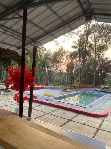 The Cool Cottage at gaya3farms in Lakkidi