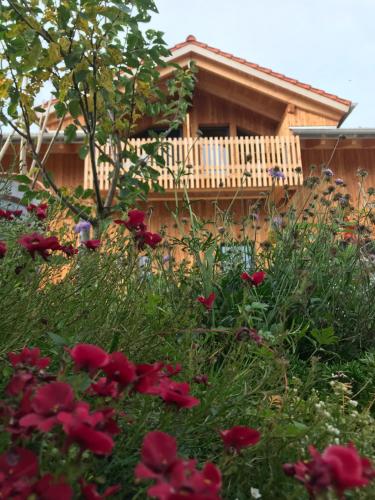 Ferienwohnung mit KönigsCard - Zum Kuckuck