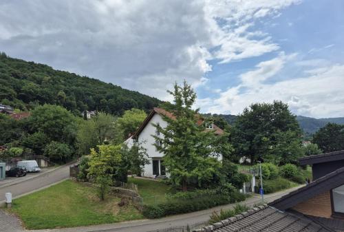 Omgivelser, Ferienwohnung Am Schiff in Eberbach in Eberbach