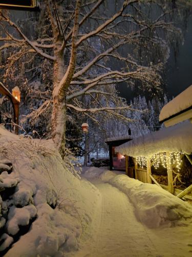 A room (or 2 or 3) in a Lapland House of Dreams 5