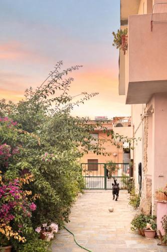Shaka guest house