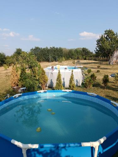 Veliki Banjan in Topola
