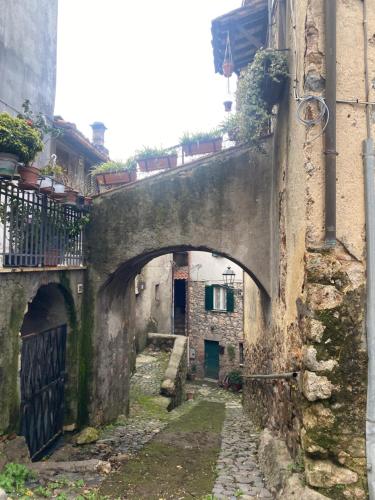 La Casa Dei Fiori in Tolfa