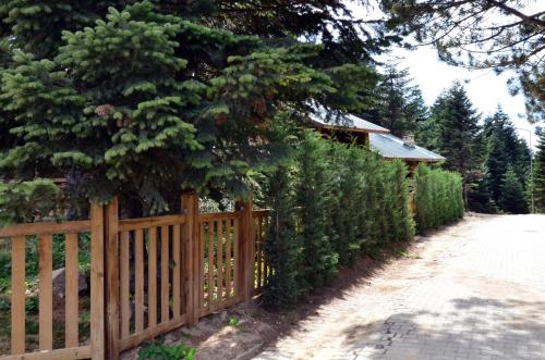 Uludag Orman Koskleri - image 12