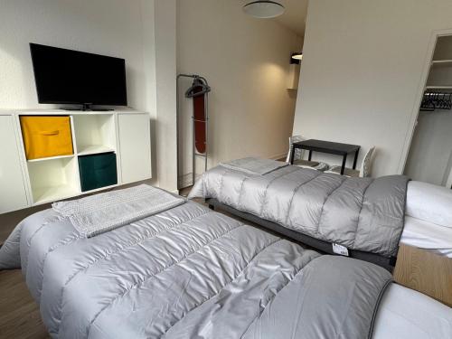 Studio calme centre-ville avec WIFI, animaux admis - FR-1-555-126