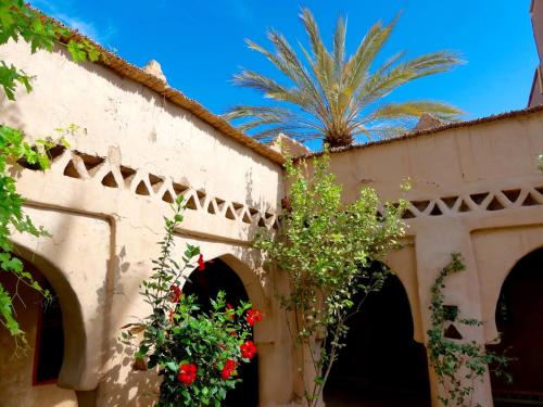 Skats, Riad Tabhirte in Agdz