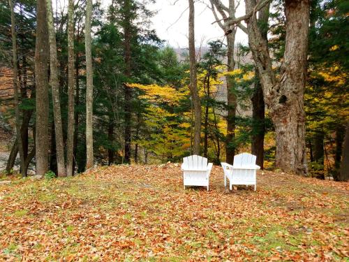 Black Bear Lodge - Accommodation - Prattsville