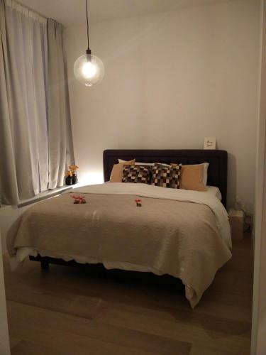 Deluxe Double Room image 10