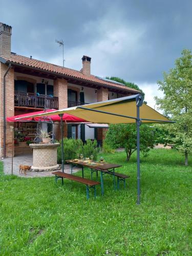 Enoturismo Dofinè (Enoturismo Dofine) in Due Carrare