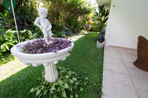 Suites & Apartments San Benito - Zona Rosa - image 2