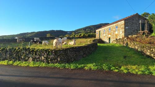 Adega do capitao – khách sạn tại Calheta De Nesquim