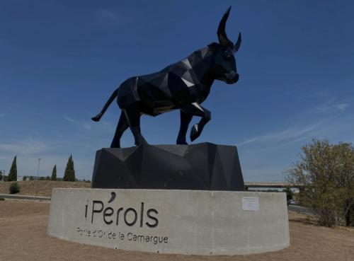 T2 Neuf jardin Proche Arena plages Zénith (T2 Neuf jardin Proche Arena plages Zenith) in Perols