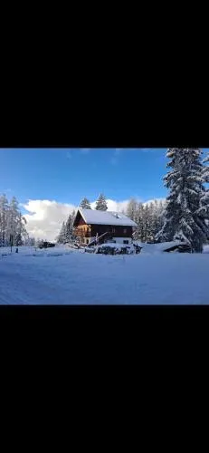 Halleiner Haus in Hallein, Österreich