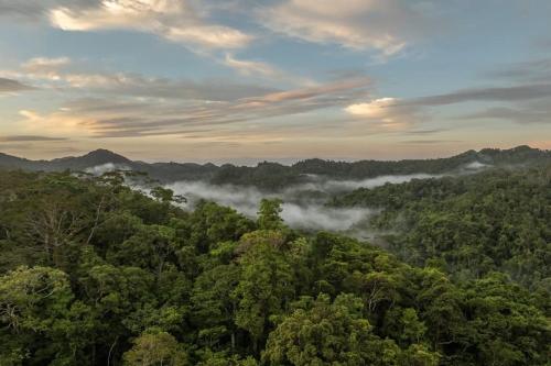 The Ideal Drawa Eco Retreat in Vanua Levu