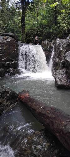 The Ideal Drawa Eco Retreat in Vanua Levu