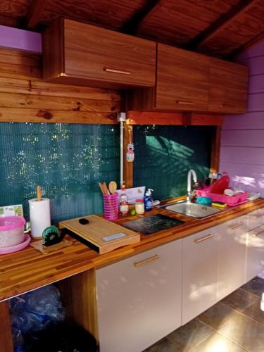 Gîte Anolis (Gite Anolis) in セント フランコイス