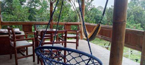 Glamping in Pedro Vicente Maldonado