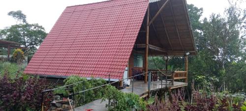 Glamping in Pedro Vicente Maldonado