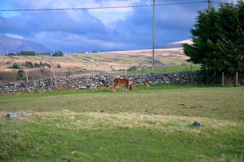 Finest Retreats - Hedd Wen Cottage in Lanlifni