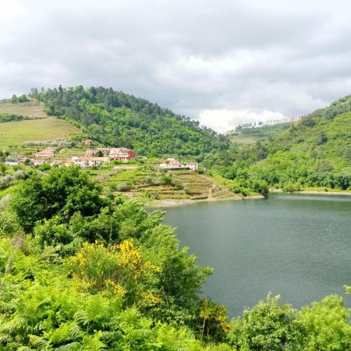 O cantinho da Laura in Lamego