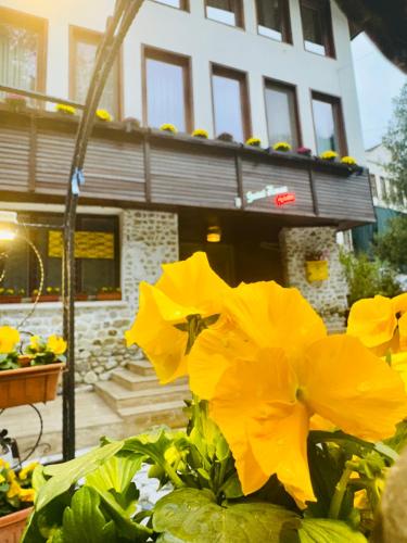 . Guest House Holiday in Melnik