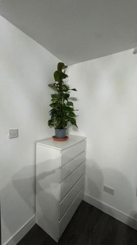 Stylish Studio Flat JQ close to Villa Park & Utility Arena in Handsworth Wood