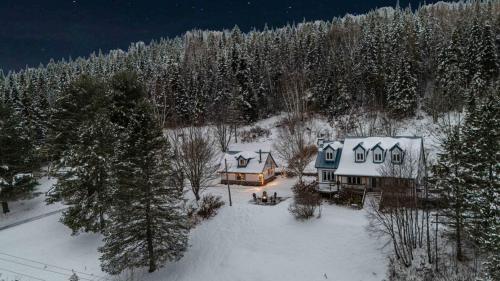 Cabine du Lac - Lakeview, Fire Pit & Stargazing in Sainte Lucie des Laurentides (QC)